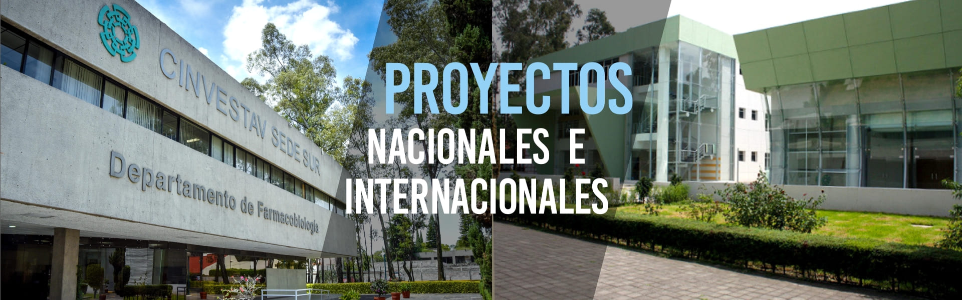 Proyectos Nacionales e Internacionales