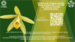 Carbon and Oxygen Isotopic Ratio Analysis by FT ICR MS for Natural Vanillin Authentication