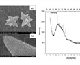 Inhibition of pepper huasteco yellow veins virus by foliar application of ZnO nanoparticles in Capsicum annuum L