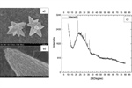 Inhibition of pepper huasteco yellow veins virus by foliar application of ZnO nanoparticles in Capsicum annuum L