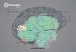 Emilio Galvan - BDNF and Lactate as Modulators of Hippocampal CA3 Network Physiology