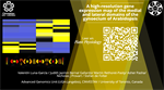A high-resolution gene expression map of the medial and lateral domains of the gynoecium of Arabidopsis