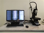 Microscopía