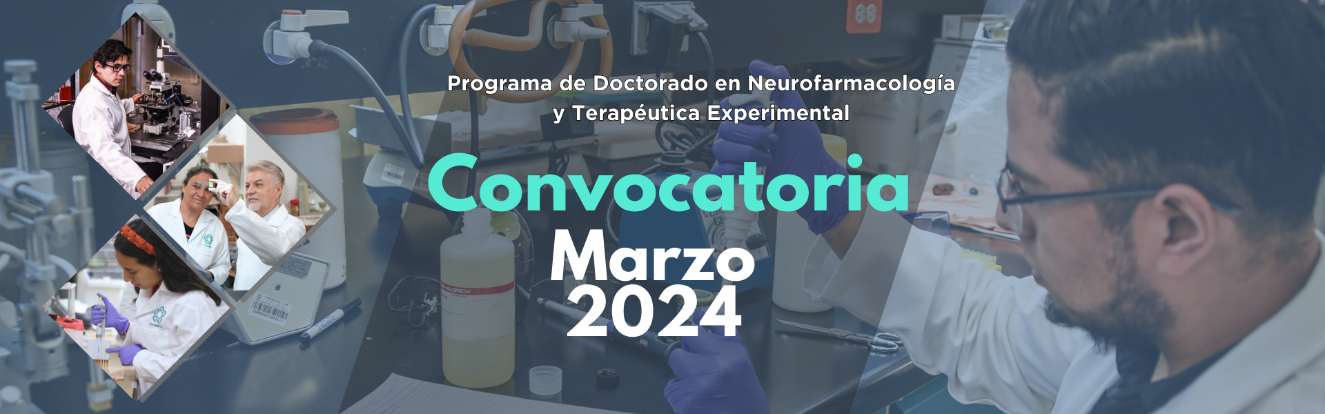 Convocatoria 2024