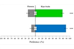 Volatilome Analysis of Soursop Fruits for the Determination of Kairomone Components That Attract the Annonaceae Fruit Weevil (Optatus palmaris Pascoe)