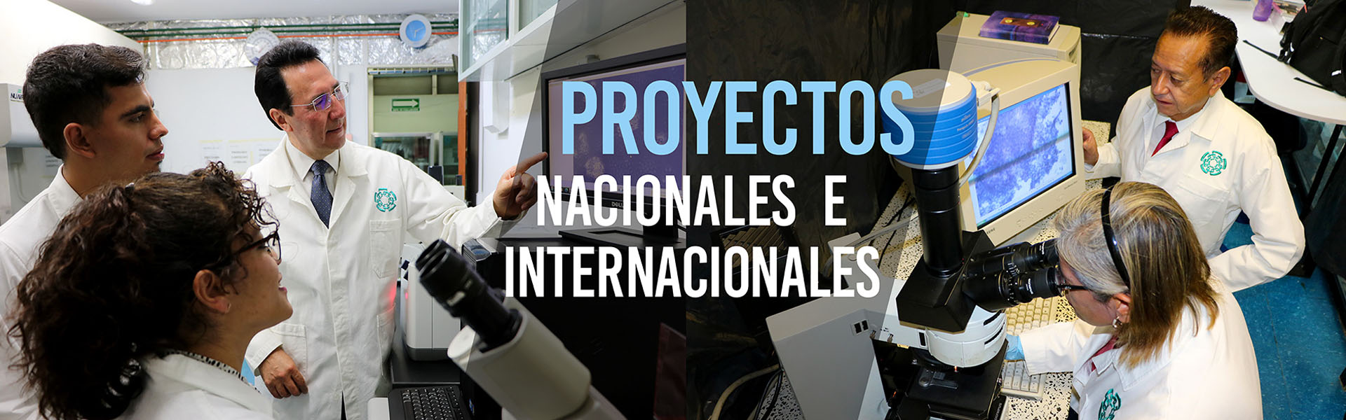 Banner-Proyectos Nacionales e Internacionales