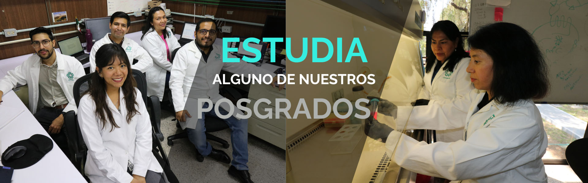 Banner - Posgrados