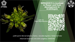 EXPANSIN15 is involved in flower and fruit development in Arabidopsis