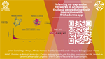 Inferring co-expression networks of Arabidopsis thaliana genes during their interaction with Trichoderma spp