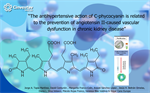David Centurión- The antihypertensive action of C-phycocyanin is related to the prevention of angiotensin II-caused vascular dysfunction in chronic kidney disease