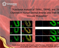 Carlos Villalon- Functional Analysis of TRPA1, TRPM3, and TRPV1 Channels in Human Dermal Arteries and Their Role in Vascular Modulation