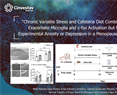 Carolina López Rubalcava- Chronic Variable Stress and Cafeteria Diet Combination Exacerbate Microglia and c-fos Activation but Not Experimental Anxiety or Depression in a Menopause Model