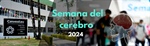 Semana del cerebro Cinvestav 2024