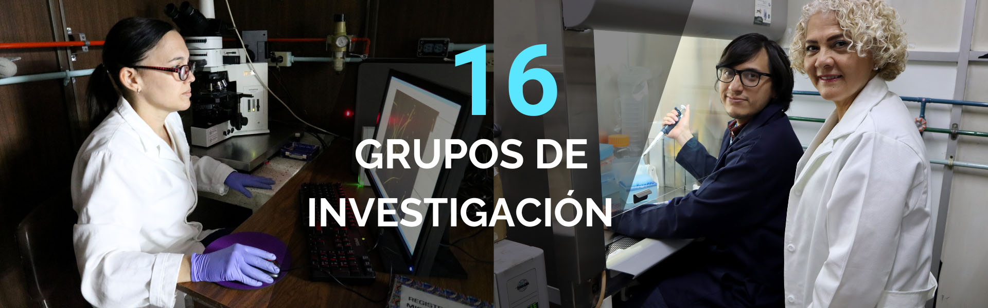 Banner - Grupos de investigación