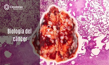 Biología del cáncer