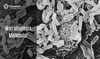 Microbiología Molecular