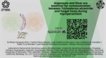 Argonaute and Dicer are essential for communication between Trichoderma atroviride and fungal hosts during mycoparasitism