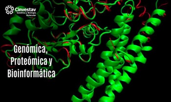 Genómica, proteómica y bioinformática.