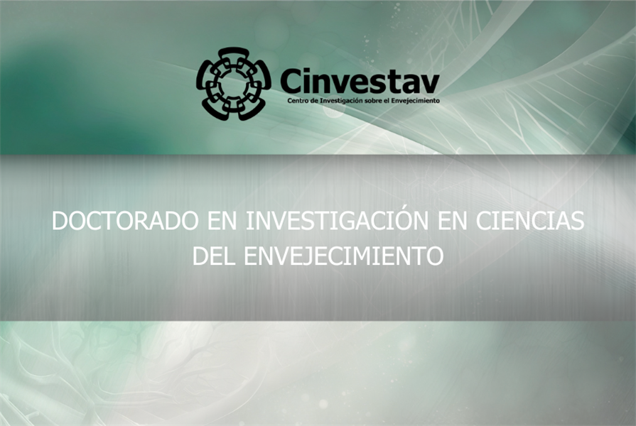 Doctorado 2024. Centro de Investigación sobre el Envejecimiento