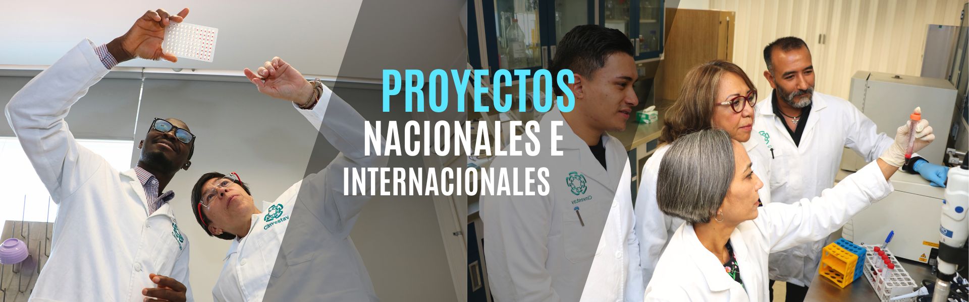 Banner Proyectos