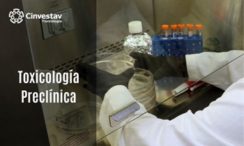 TOXICOLOGÍA PRECLÍNICA