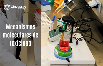 MECANISMOS MOLECULARES DE TOXICIDAD