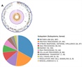 Metagenome-assembled bacterial genomes recovered from the datasets of Spodoptera frugiperda (Smith) (Lepidoptera: Noctuidae)