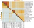 Genome-Scale Model of Rhizopus microsporus: Metabolic integration of a fungal holobiont with its bacterial and viral endosymbionts