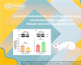 Alonso Guasti- Estradiol modulates the role of the spinal α6-subunit containing GABAA receptors in female rats with neuropathic pain