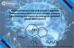 Emilio Galván- Postnatal hypofunction of N-methyl-D-aspartate receptors alters perforant path synaptic plasticity and filtering and impairs dentate gyrus-mediated spatial discrimination