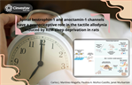 Janet Murtabián- Spinal bestrophin-1 and anoctamin-1 channels have a pronociceptive role in the tactile allodynia induced by REM sleep deprivation in rats