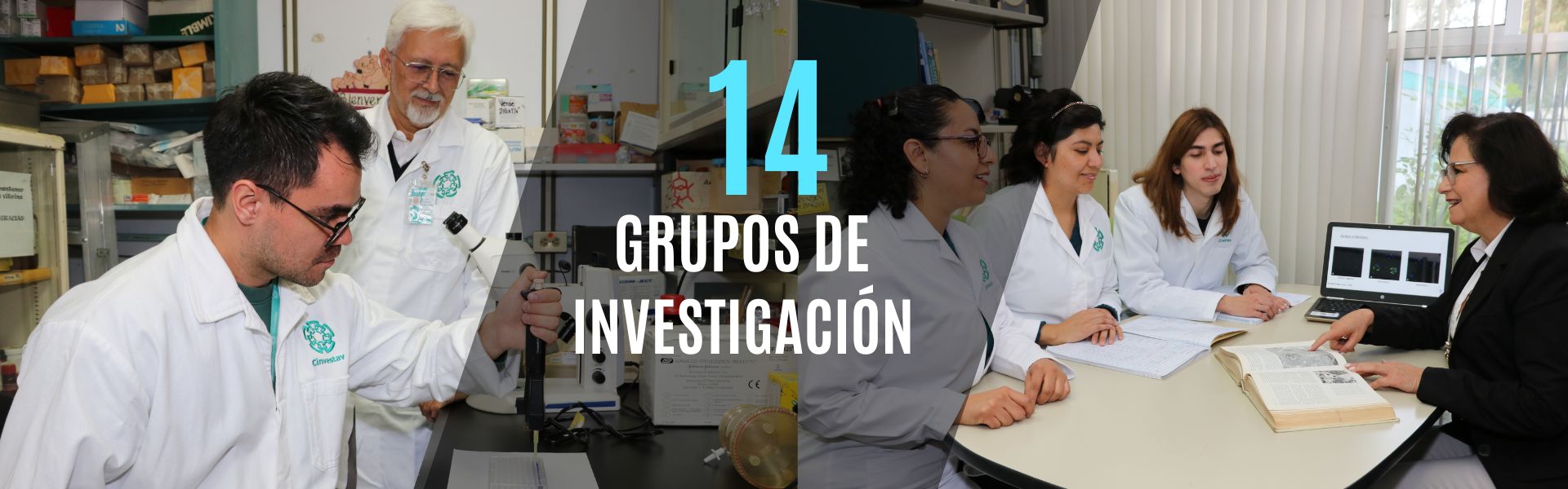 Banner-Grupos de Investigación