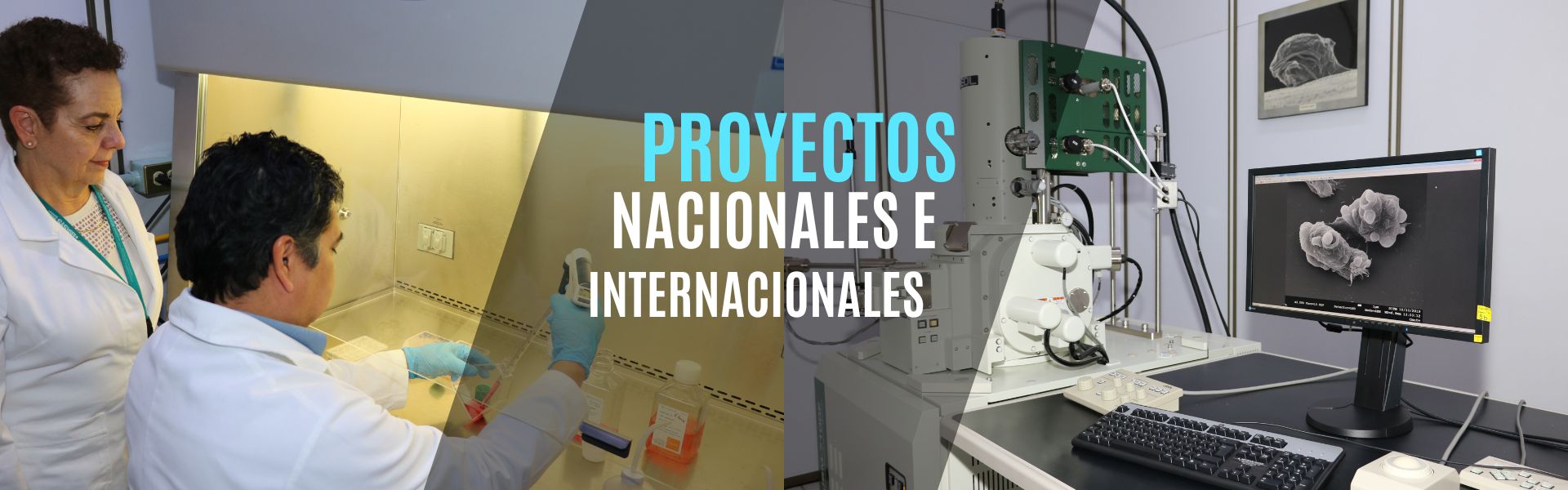 Banner-Proyectos Nacionales e Internacionales