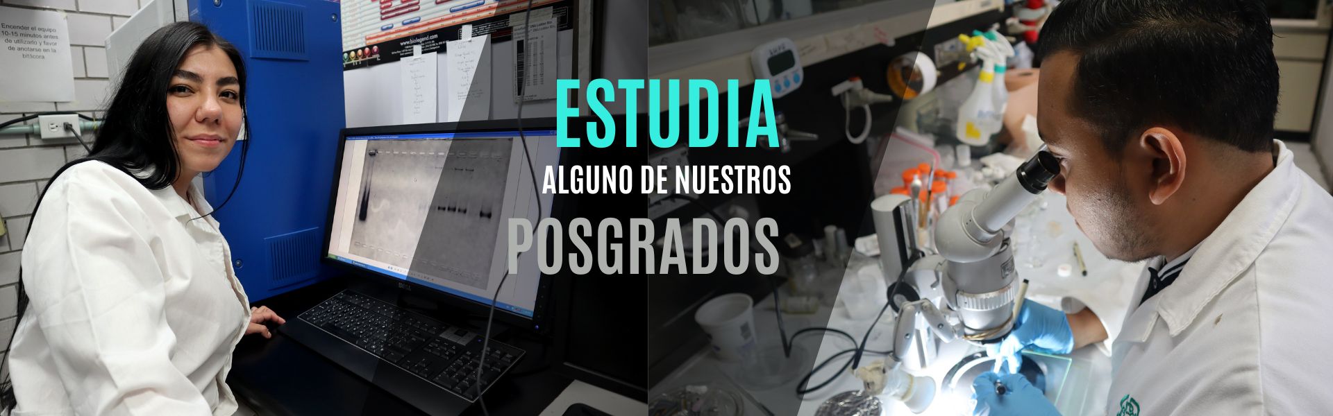 Banner-Estudia Algunos de Nuestros Posgrados