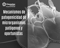 Estudio de los mecanismos de patogenicidad de microrganismos patógenos y oportunistas