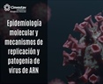 Epidemiologia molecular y mecanismos de replicación y patogenia del virus de ARN