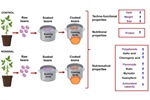 Nonanal, a volatile organic compound, improves the techno-functional, nutritional, and nutraceutical properties of the common bean (Phaseolus vulgaris L.)
