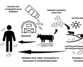 Antimicrobial peptides in livestock: a review with a one health approach