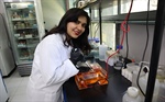 Genética y Biología Molecular