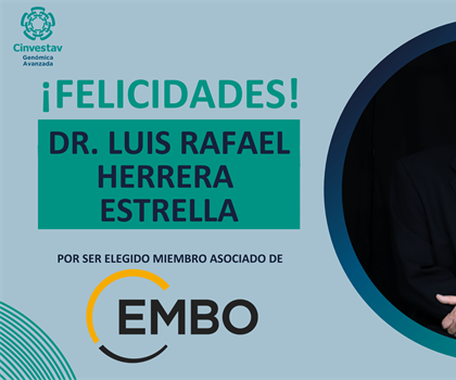 Outstanding scientists elected to EMBO Membership