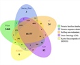 Transcriptomic analysis of Chaetoceros muelleri in response to different nitrogen concentrations reveals the activation of pathways to enable efficient nitrogen uptake