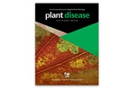 Unlocking a Mystery: Characterizing the First Appearance of Clavibacter nebraskensis in Mexican Cornfields