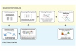 Structure-aware machine learning strategies for antimicrobial peptide discovery