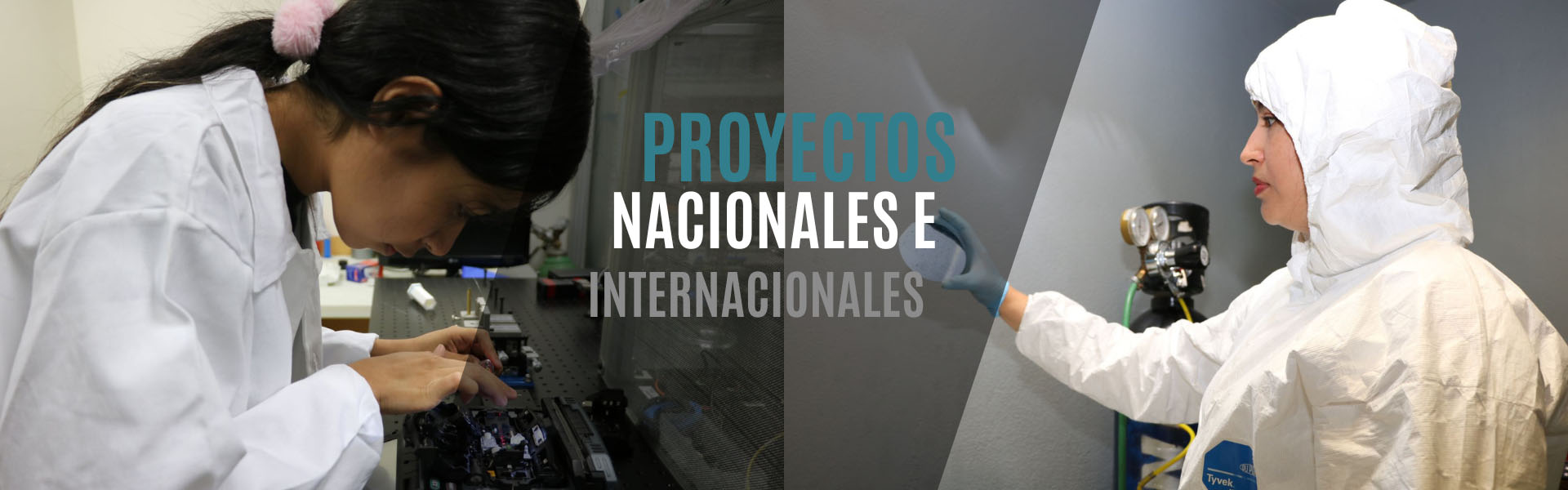 Proyectos