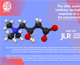 The DNA methyltransferase inhibitor decitabine blunts the response to a high-animal fat and protein diet in mice