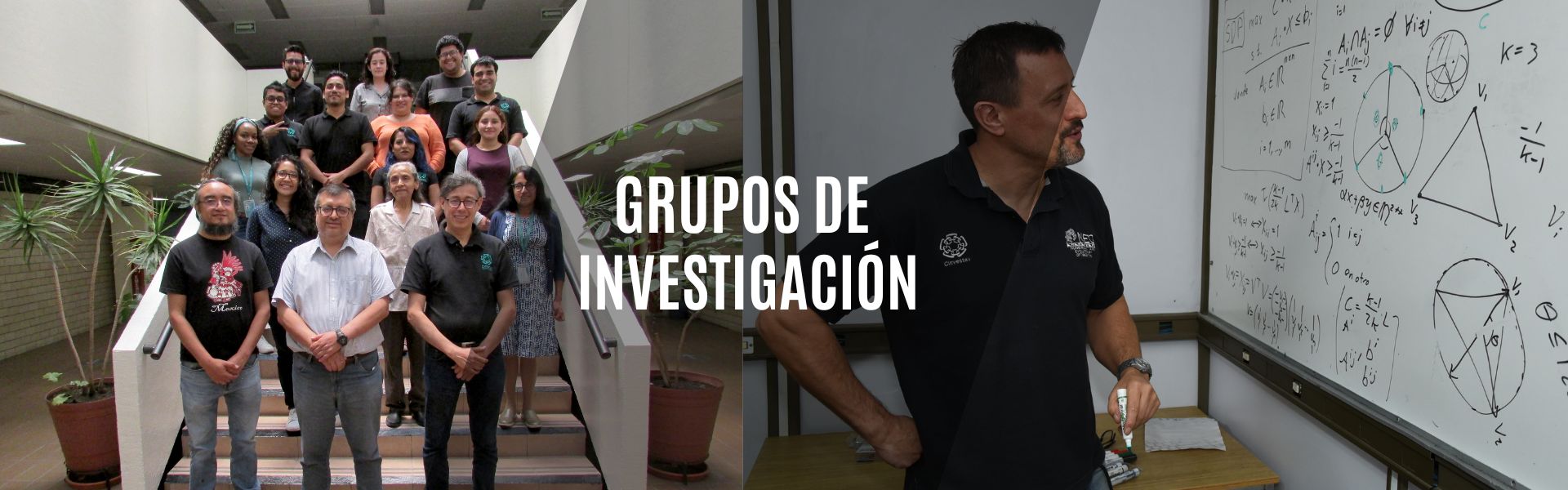 Grupos de Investigación