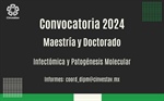 Convocatoria 2024