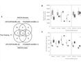 Effects of paternal arachidonic acid supplementation on offspring behavior and hypothalamus inflammation markers in the mouse