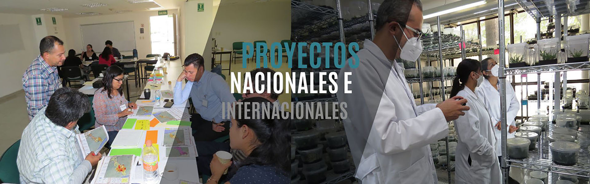 Banner-Proyectos Nacionales