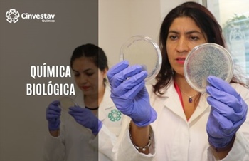 Química Biológica: